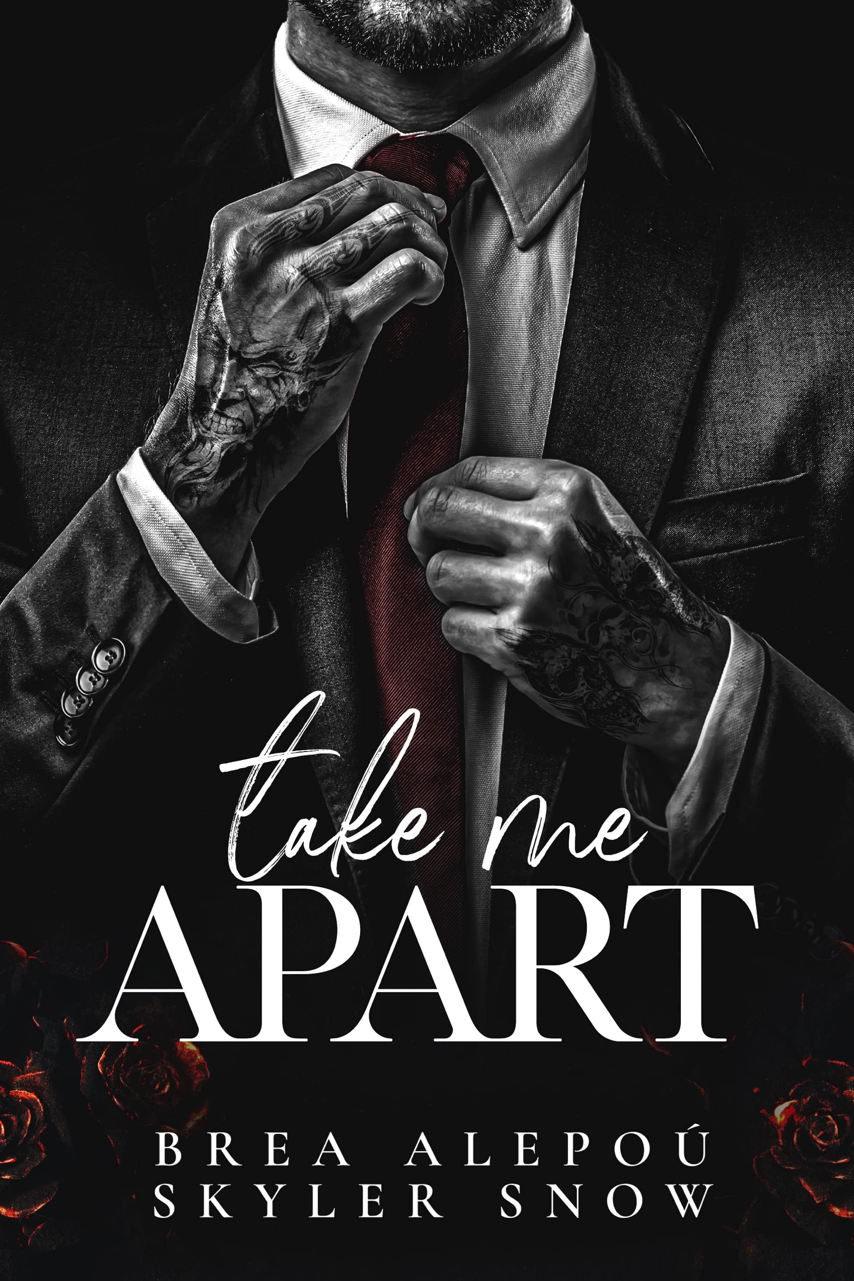 Take Me Apart (Vitale Brothers, #1)