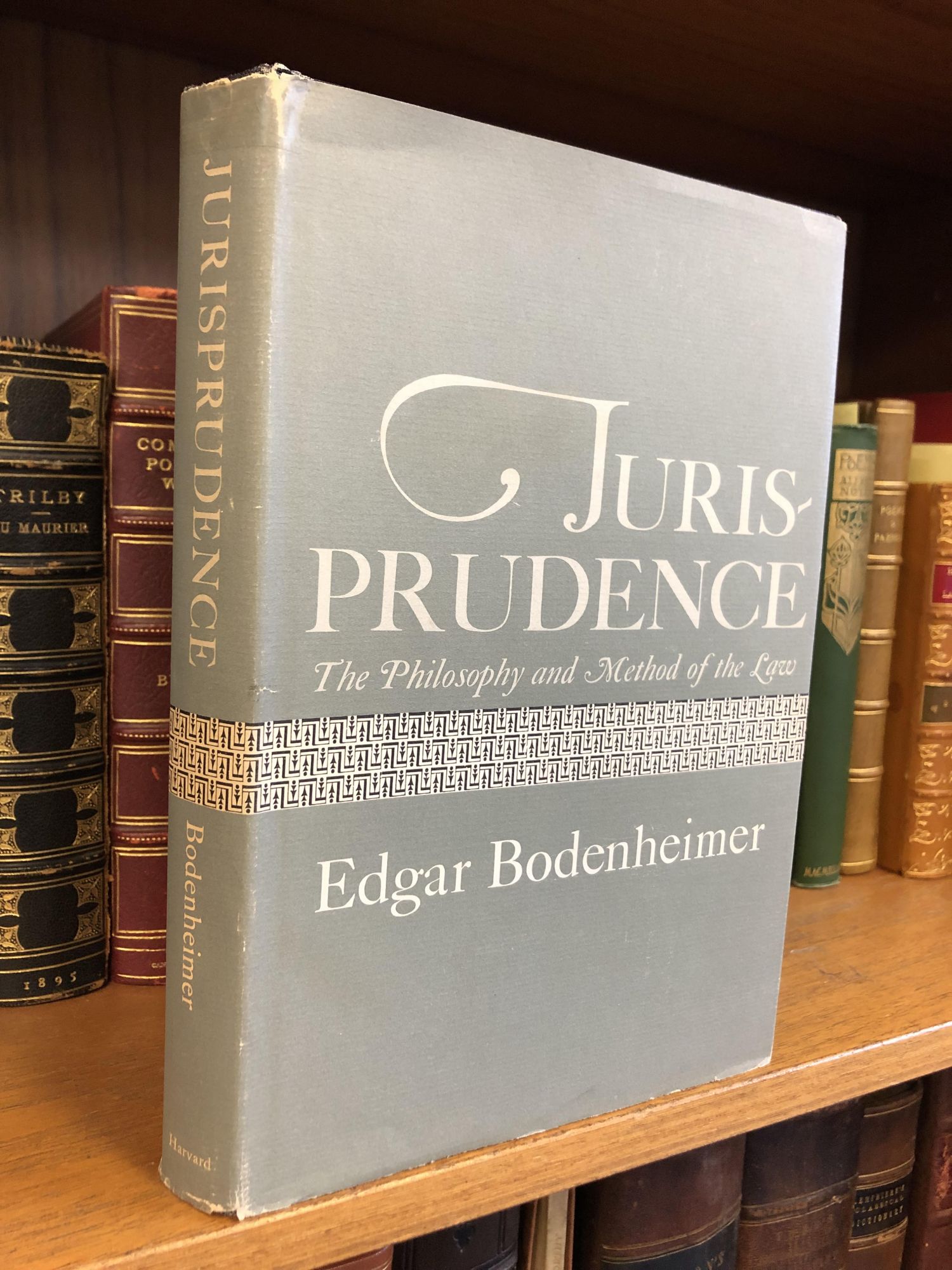 Jurisprudence (Paperback)