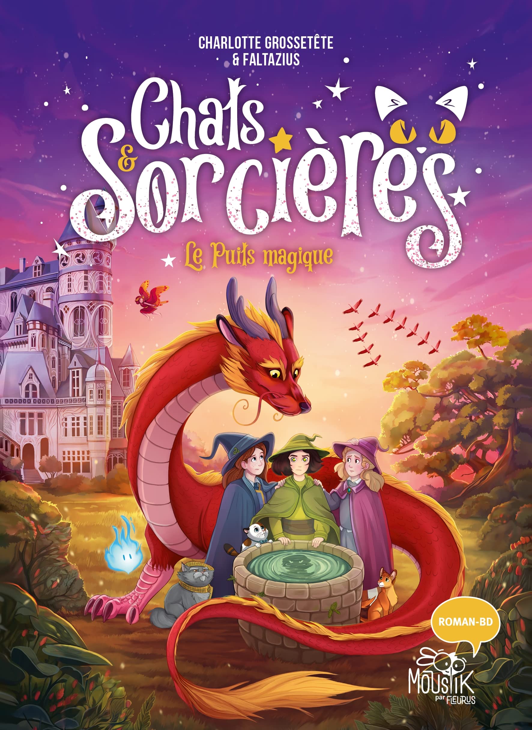 Le puits magique (Chats & sorcières #3)