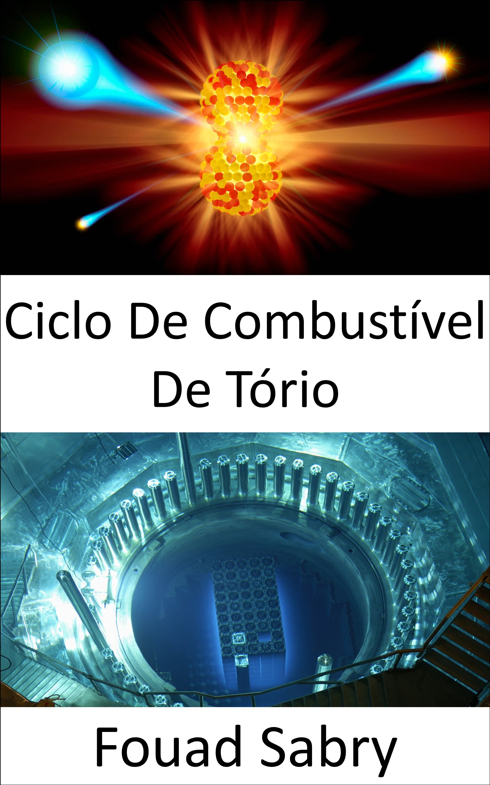 Ciclo De Combustível De Tório: Construindo reatores nucleares sem combustível de urânio (Tecnologias Emergentes Em Energia [Portuguese], #25)