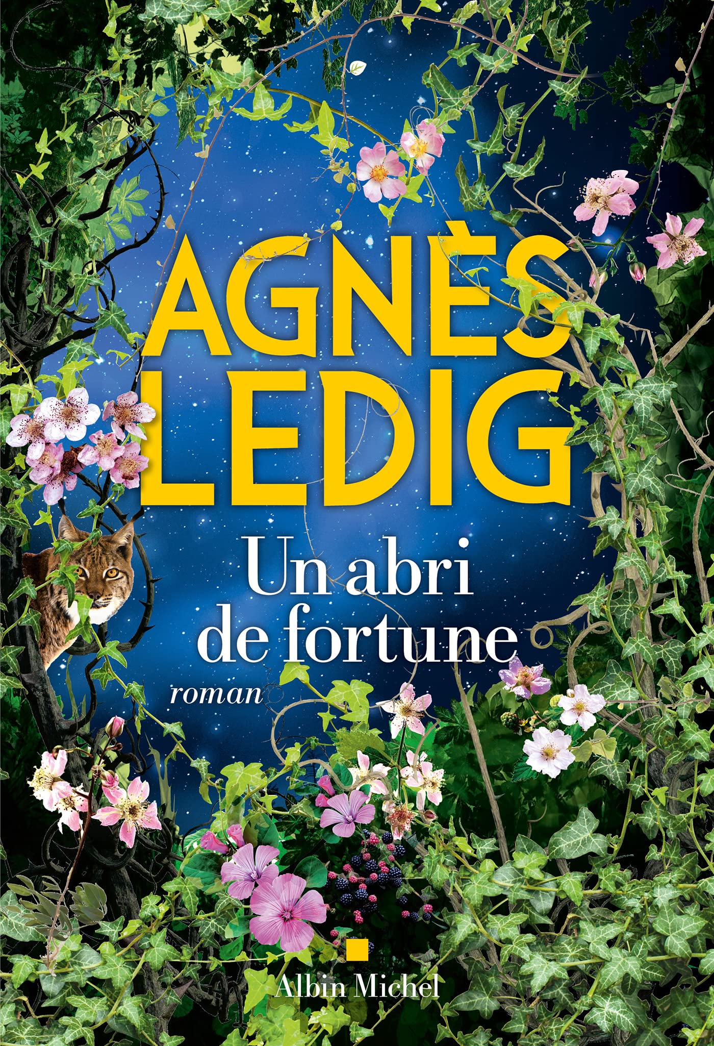 Un abri de fortune (Kindle Edition)