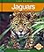 Jaguars (First Reports/Animals)