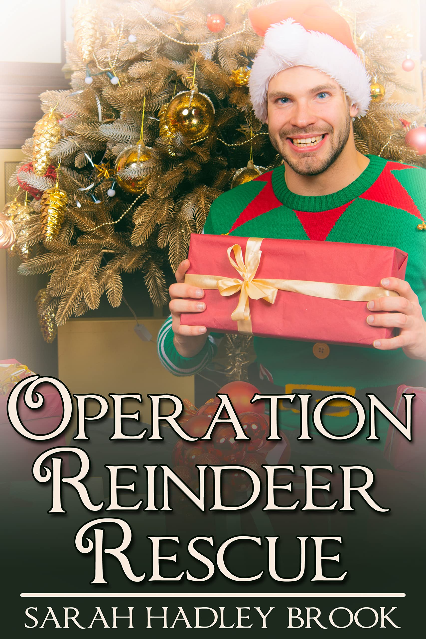 Operation Reindeer Rescue (Kindle Edition)