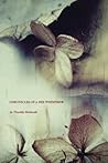 Chronicle of a Bee Whisperer by Timothy Stobierski Chronicle of a Bee Whisperer by Timothy Stobierski