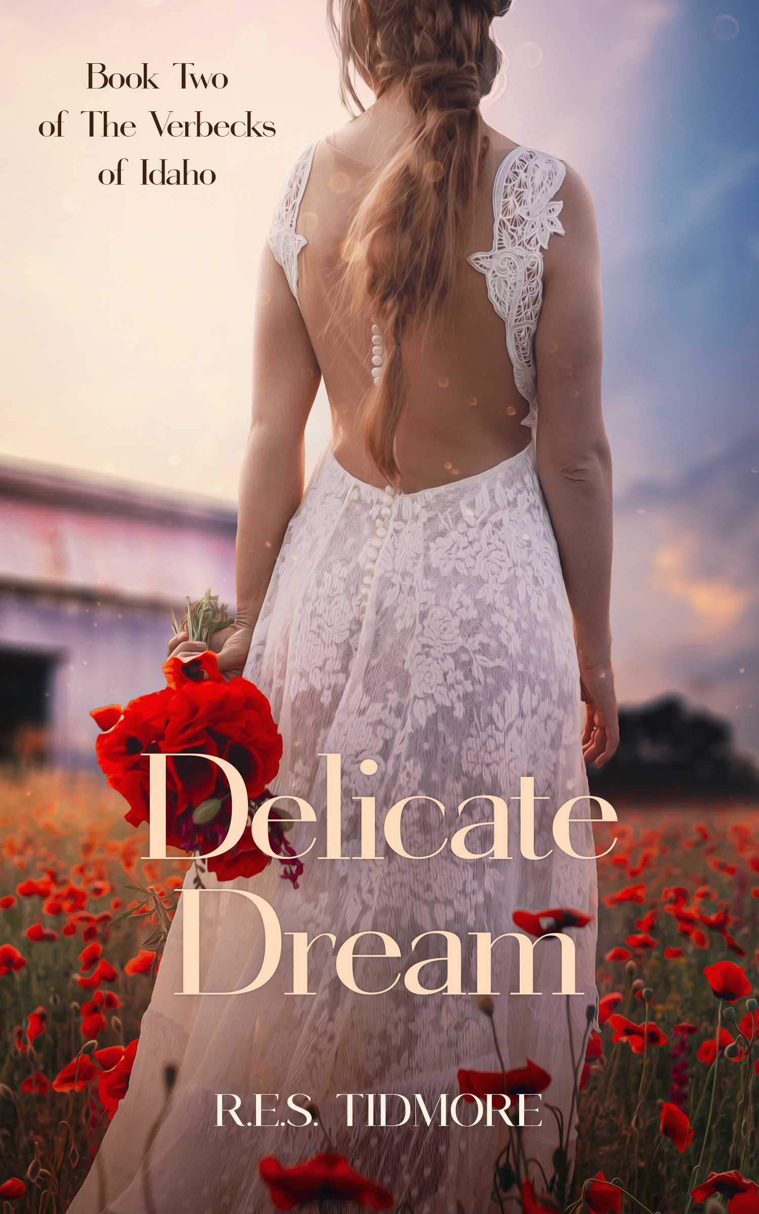 Delicate Dream (The Verbecks of Idaho, #2)