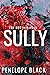 Sully (The Brotherhood Series)