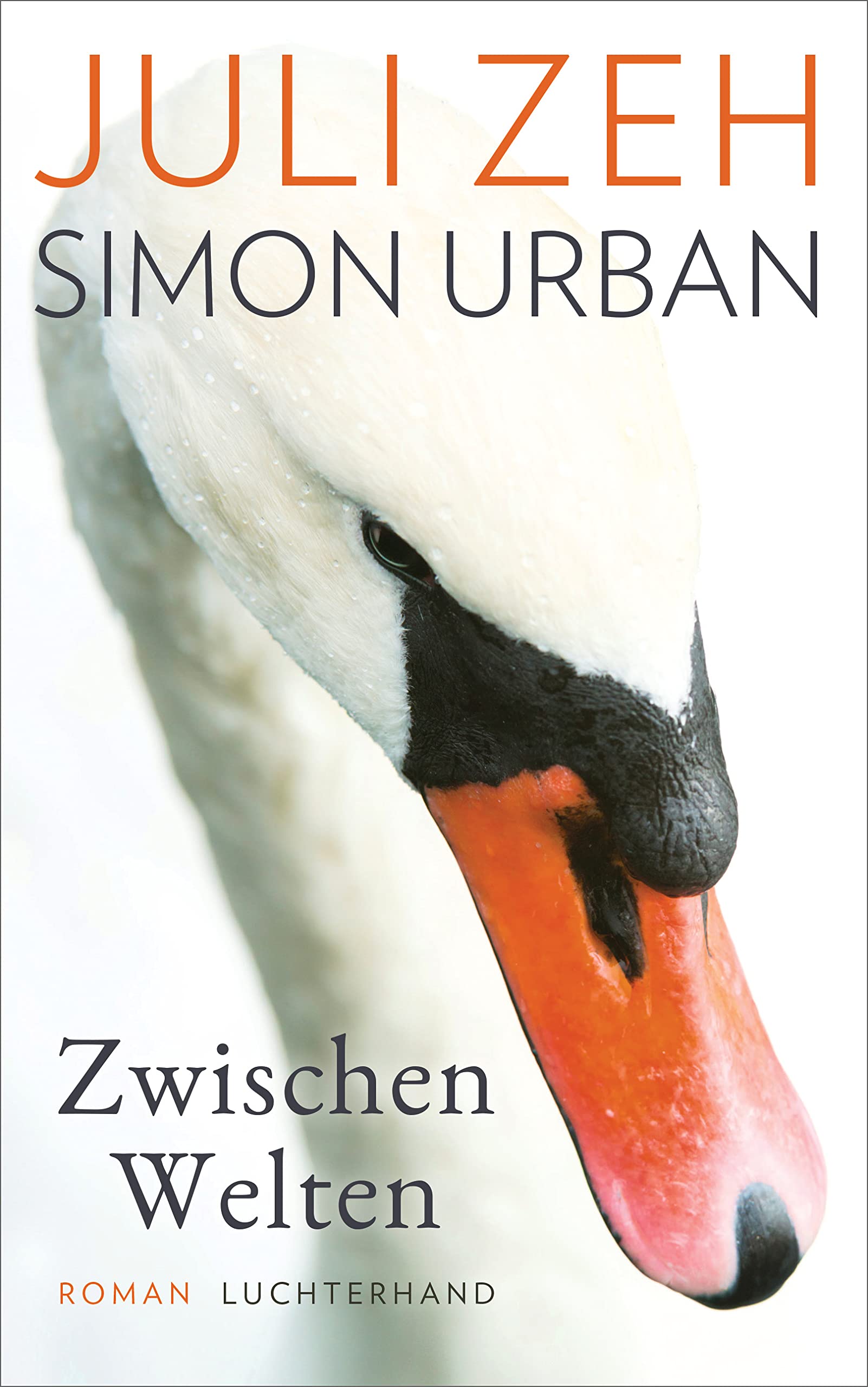 Zwischen Welten (Kindle Edition)