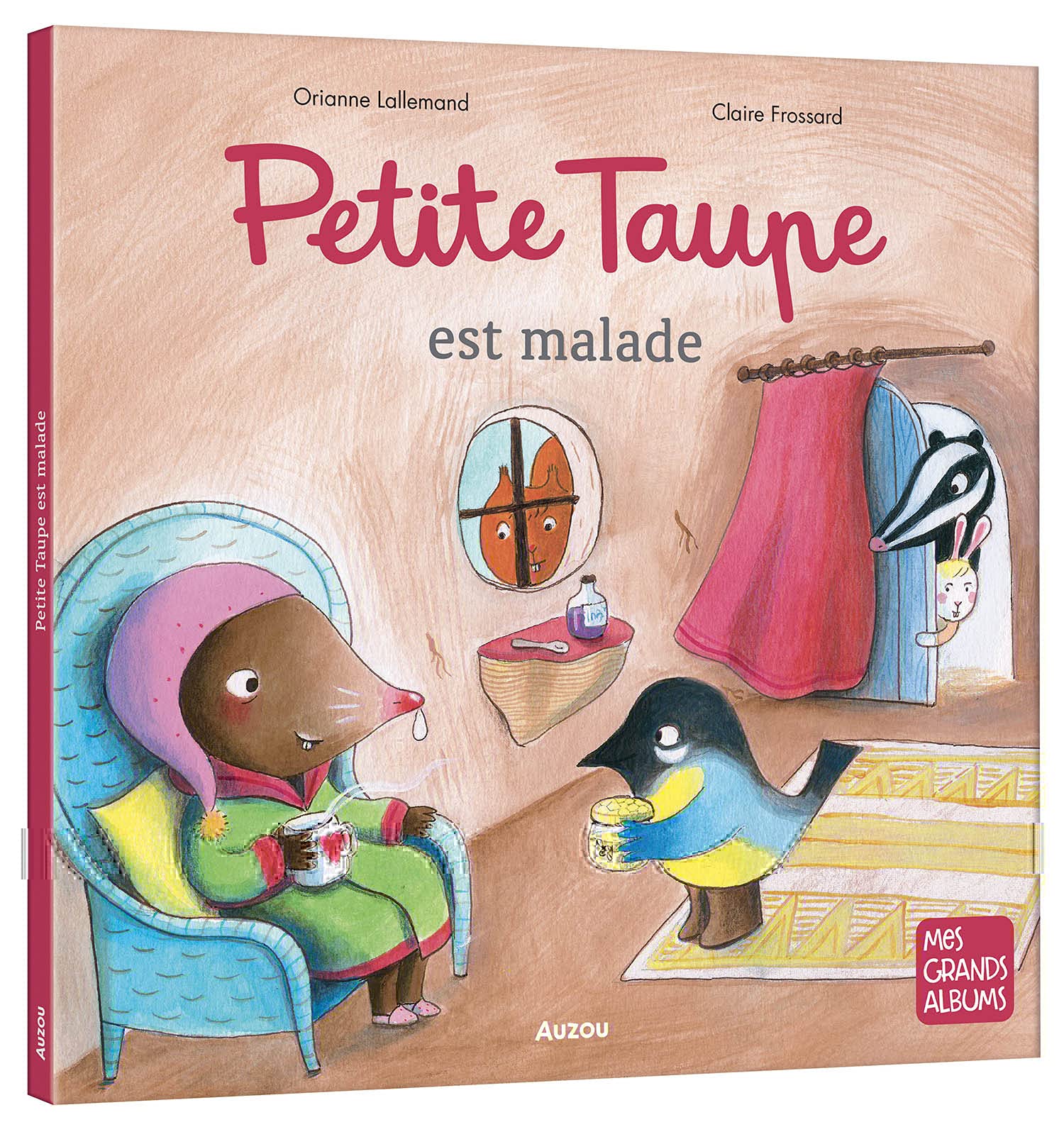 Petite Taupe est malade (Hardcover)