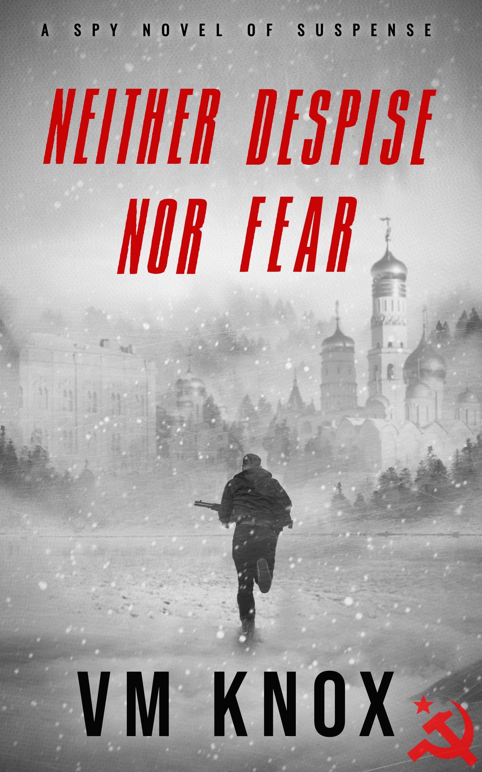 Neither Despise Nor Fear (The Neither Despise Nor Fear Series #1)