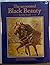 The Annotated Black Beauty ...
