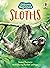 Sloths by James MacLaine
