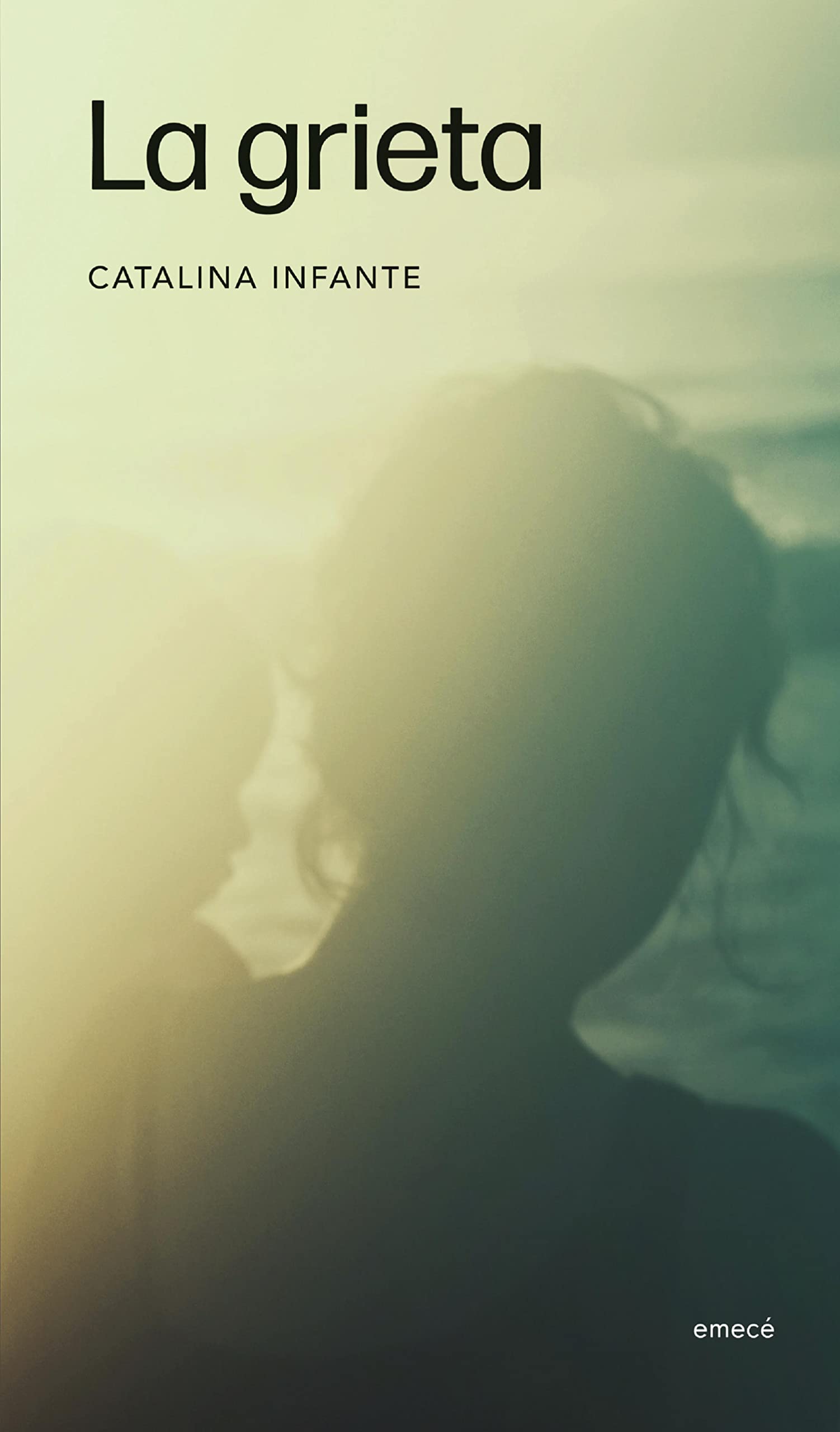 La grieta (Kindle Edition)