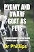 PYGMY AND DWARF GOAT AS PET...