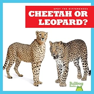 Cheetah or Leopard? (Bullfrog Books: Spot the Differences)
