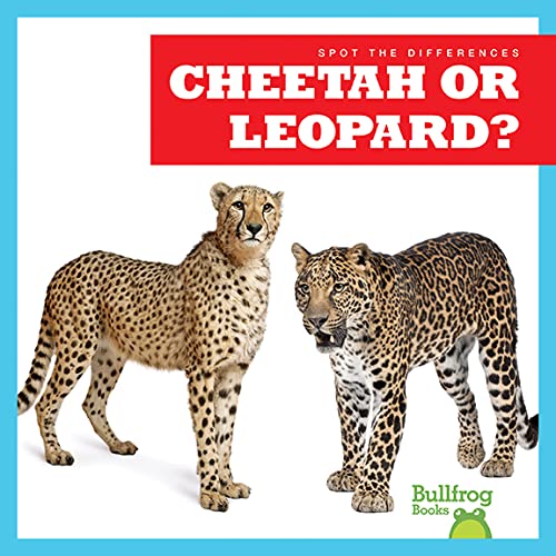 Cheetah or Leopard? (Bullfrog Books: Spot the Differences)