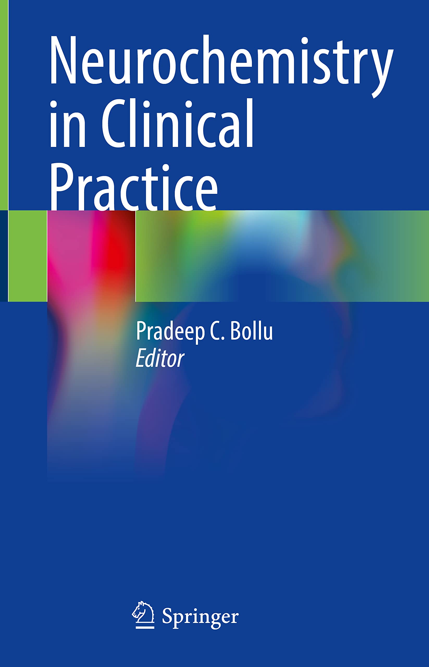 Neurochemistry in Clinical Practice (Hardcover)