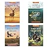 Wilderness Ridge (Capstone Series) (4 Books)
