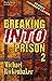 Breaking Into Prison 2
