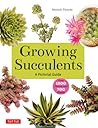 Growing Succulent...