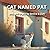 Cat Named Pat: The comfort ...