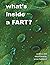 what's inside a FART? by Jesse Hubbard