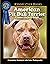 American Pit Bull Terrier (...