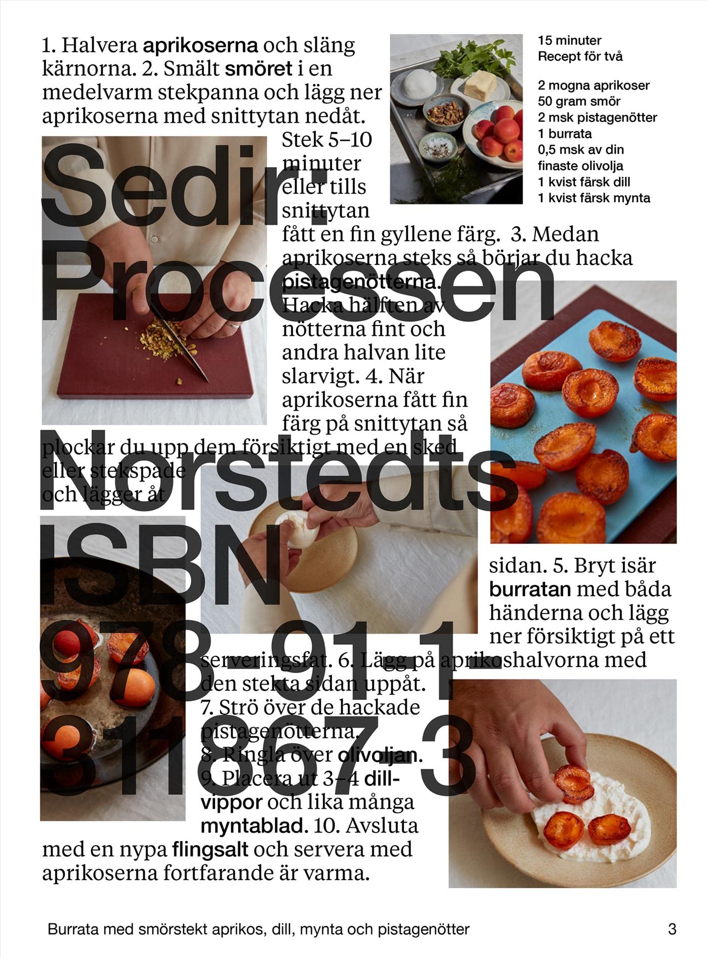 Sedir: Processen (Hardcover)