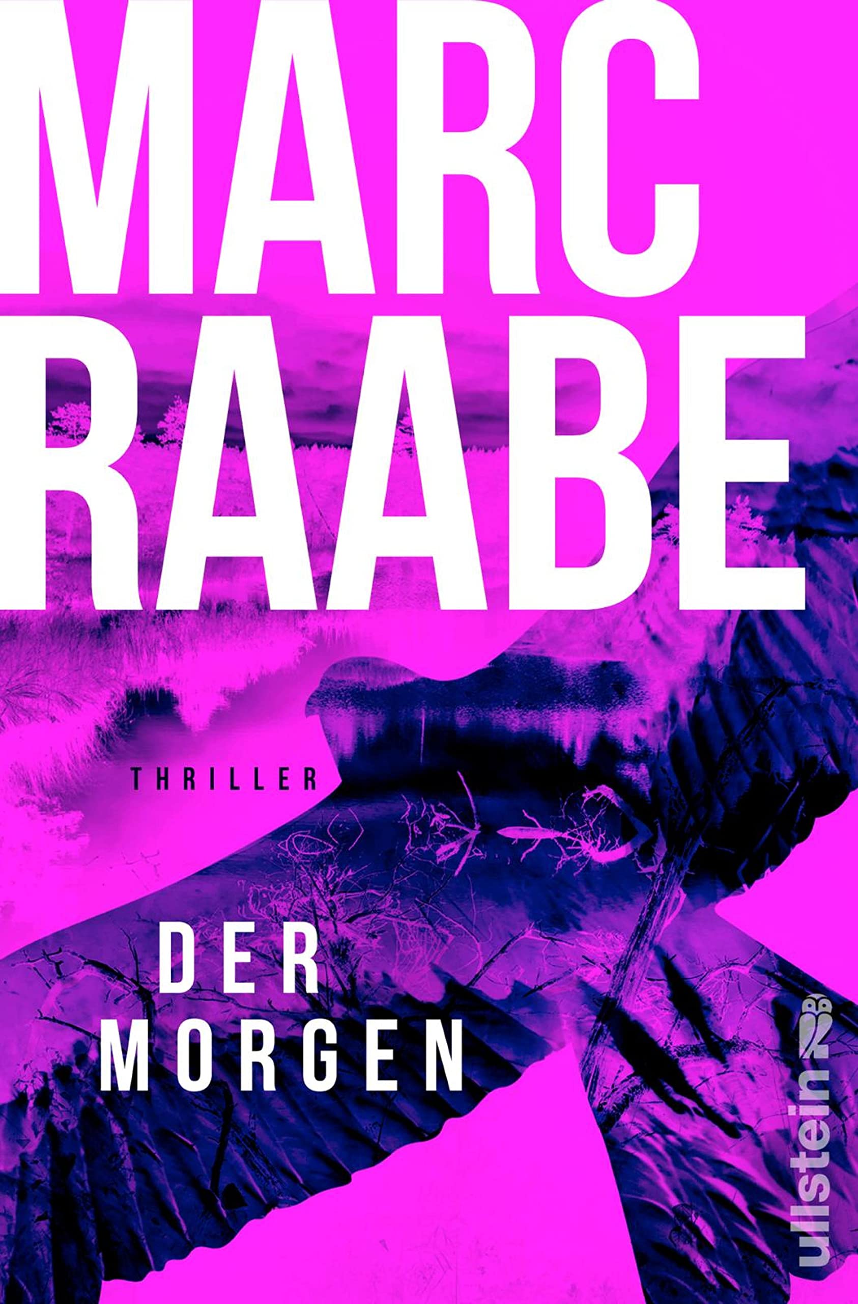 Der Morgen (Kindle Edition)