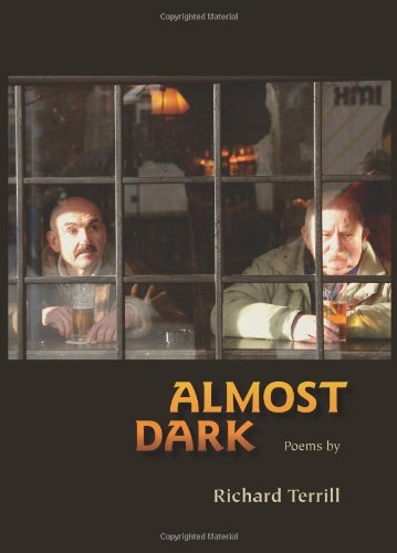 Almost Dark (Paperback)