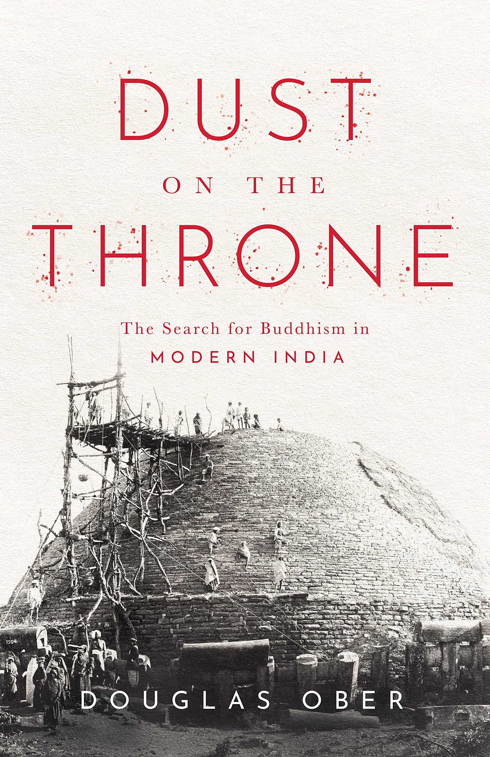 Dust on the Throne: The Search for Buddhism in Modern India (Paperback)