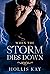 When the Storm Dies Down (T...
