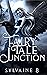 Fairy Tale Junction