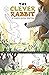 The Clever Rabbit (Discover Graphics: Global Folktales)
