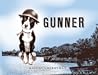 Gunner