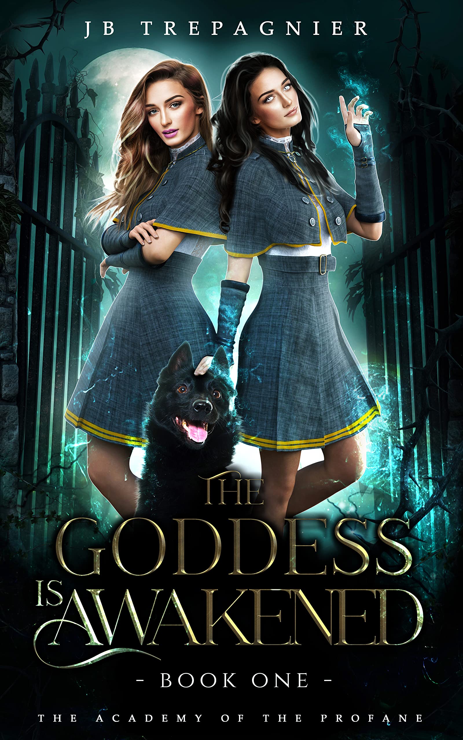 The Goddess is Awakened (The Academy of the Profane, #1)