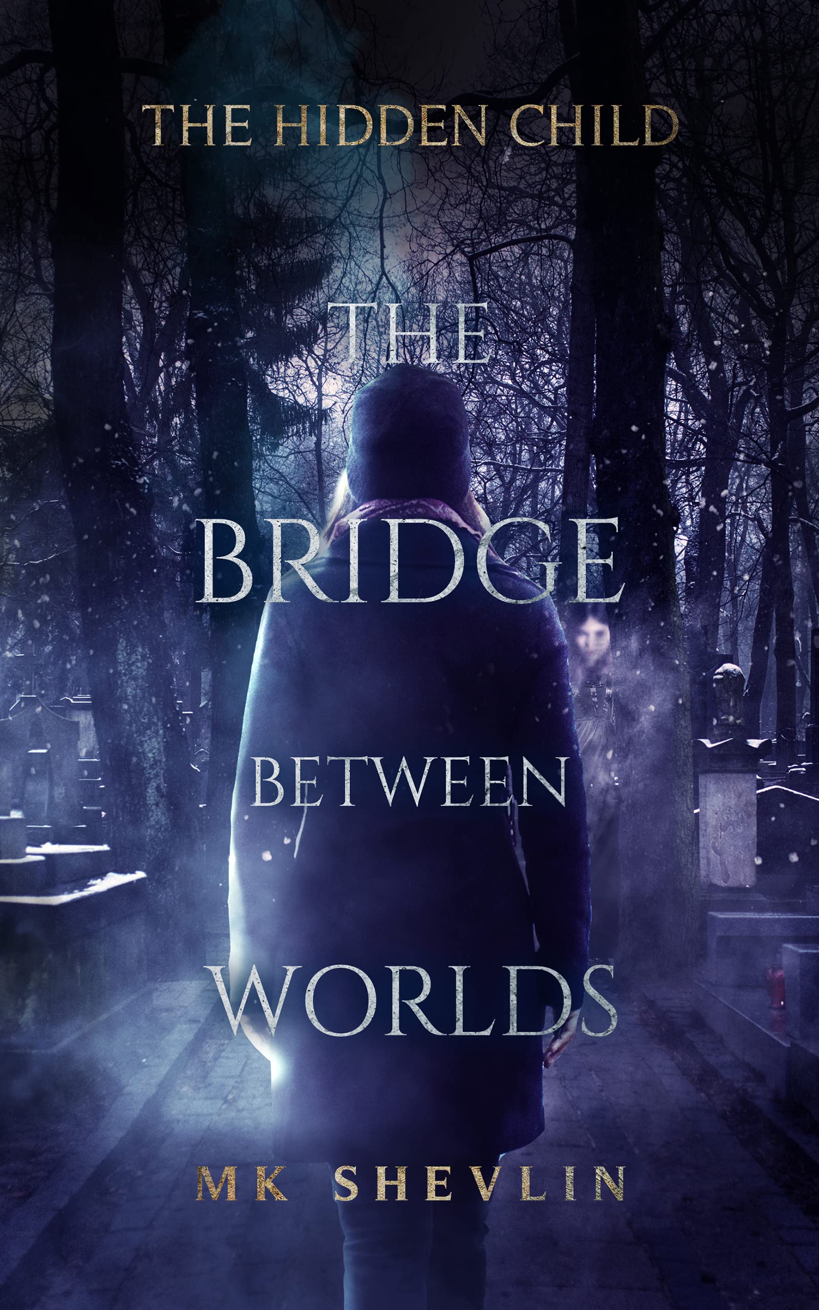 The Bridge Between Worlds: The Hidden Child (Kindle Edition)
