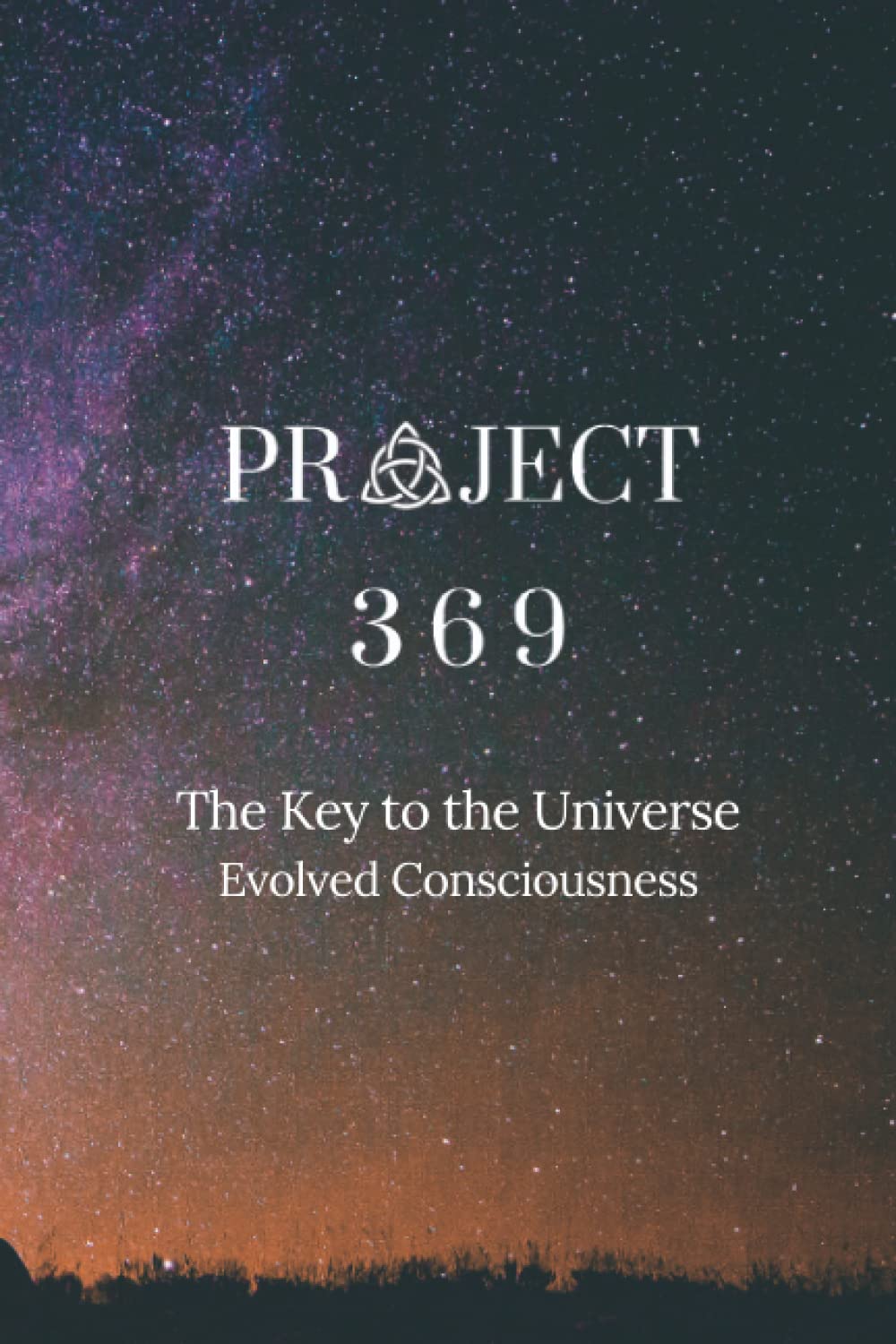 Project 369: Evolved Consciousness (Paperback)