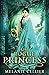 The Rogue Princess: a Retel...