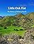 Little Oak Flat: The Histor...