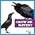 Crow or Raven? (Bullfrog Books: Spot the Differences)