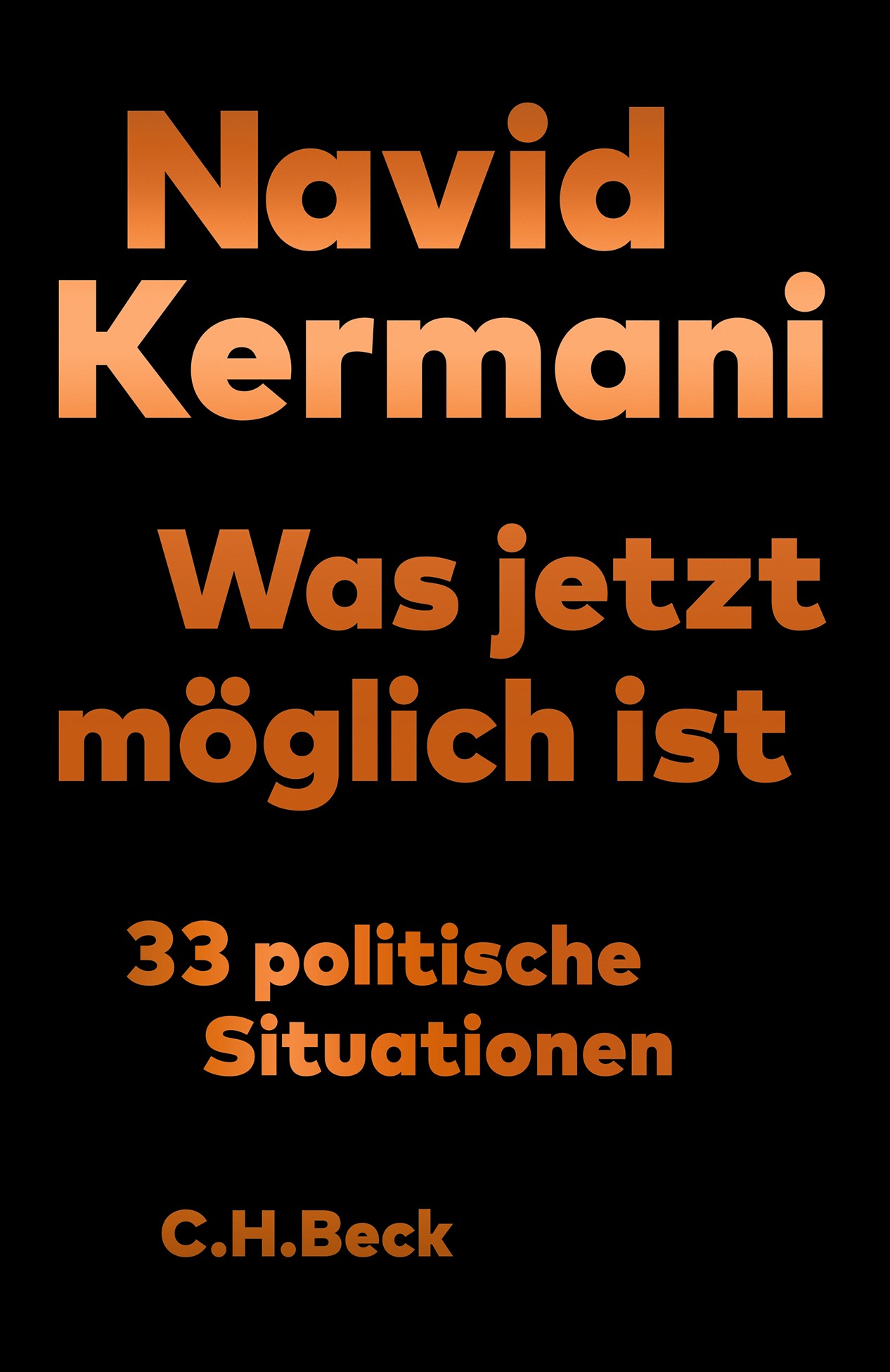 Was jetzt möglich ist: 33 politische Situationen (Hardcover)
