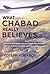 What Chabad Really Believes: A Midair Dialogue on Chassidic Philosophy and Its Climactic View of Our Current Age