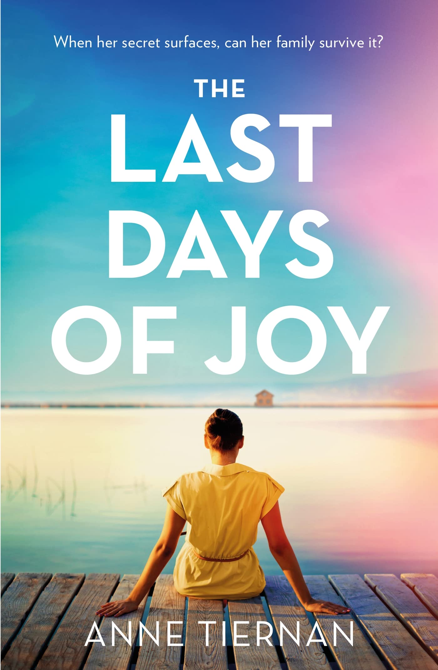 The Last Days of Joy (Kindle Edition)