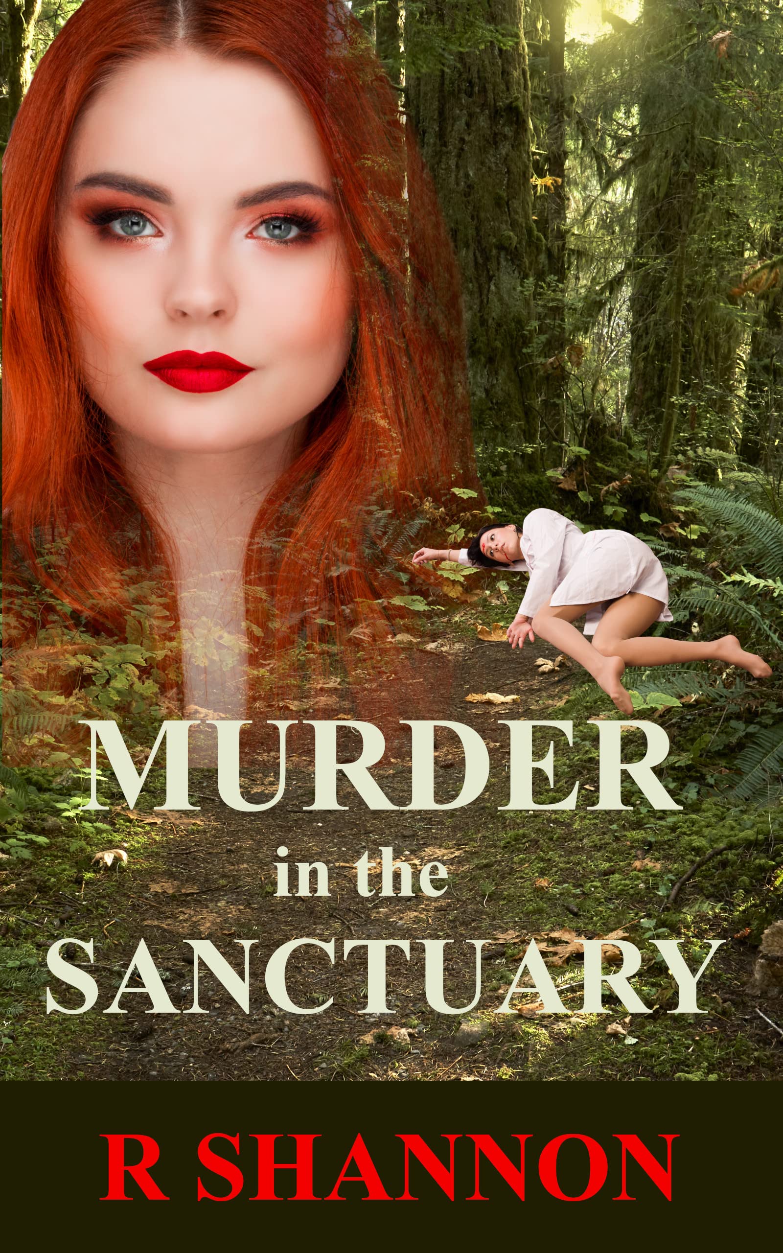 Murder in the Sanctuary (Jack Nolan Detective Mysteries #1)