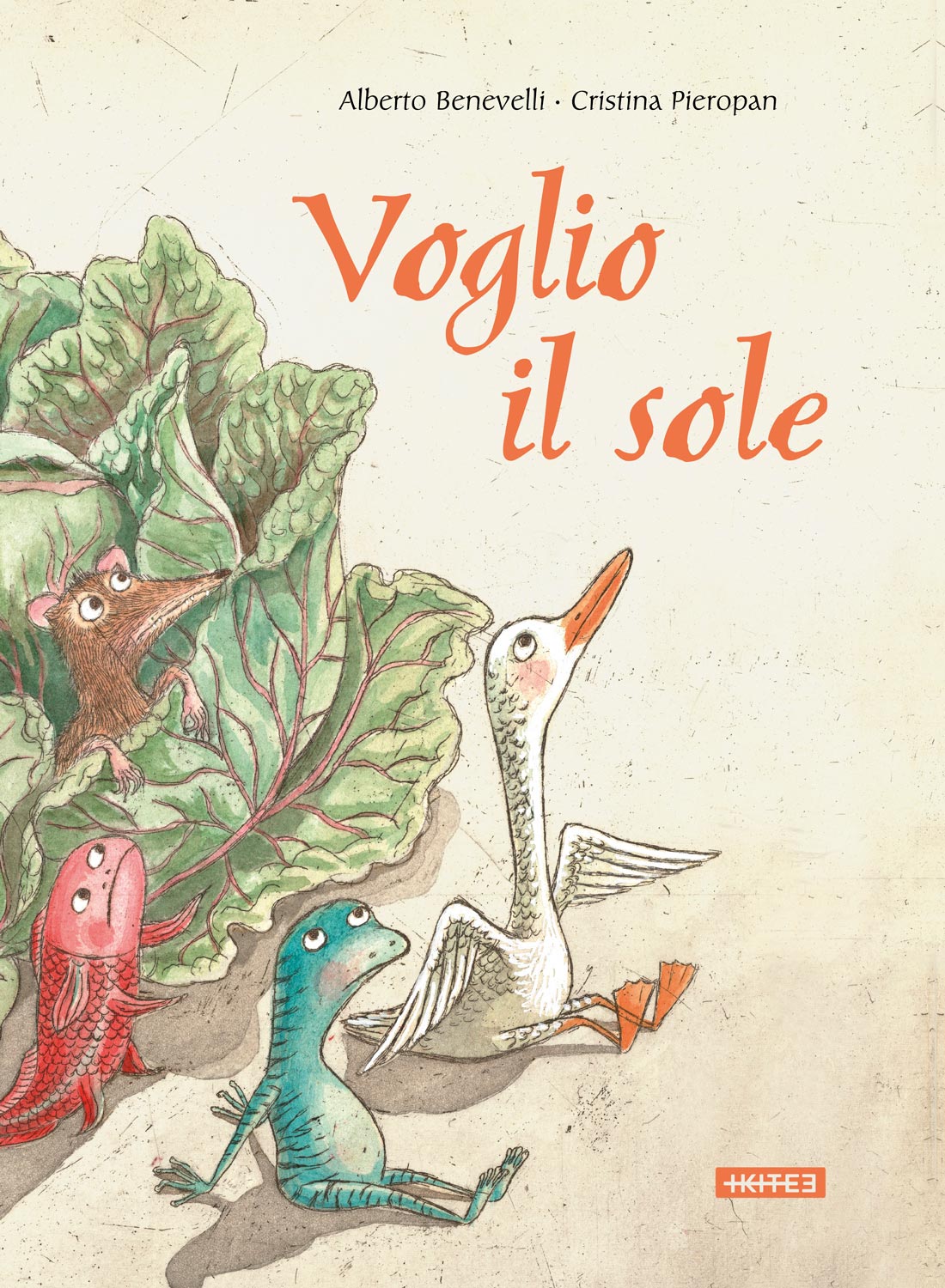 Voglio il sole (Hardcover)
