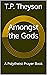 Amongst the Gods: A Polythe...