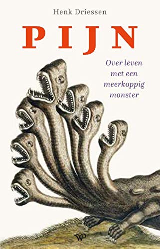 Pijn: over leven met een meerkoppig monster
