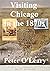 Visiting Chicago in the 1870s