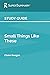 Study Guide: Small Things L...