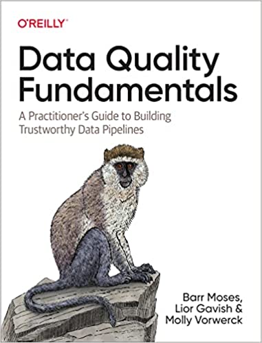 Data Quality Fundamentals (Unknown Binding)